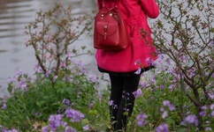 吸血鬼骑士的不乖宠儿